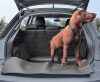 Kofferraumschutzhülle für Hundetransport Dexter SUV